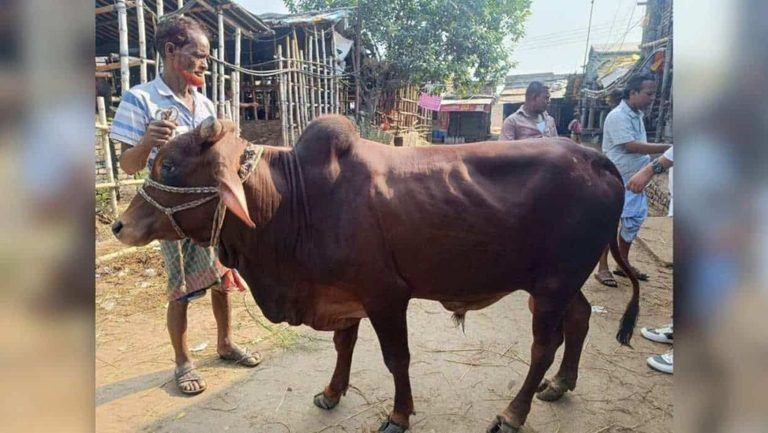 জগন্নাথ বিশ্ববিদ্যালয়ে শিক্ষার্থীদের গরুভোজ কর্মসূচি ঘিরে বিতর্ক